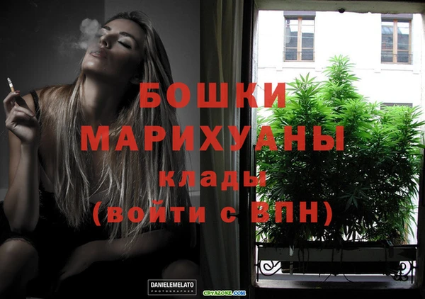 ECSTASY Инта