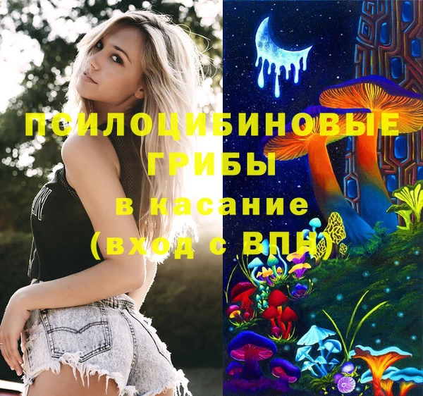 ECSTASY Инта